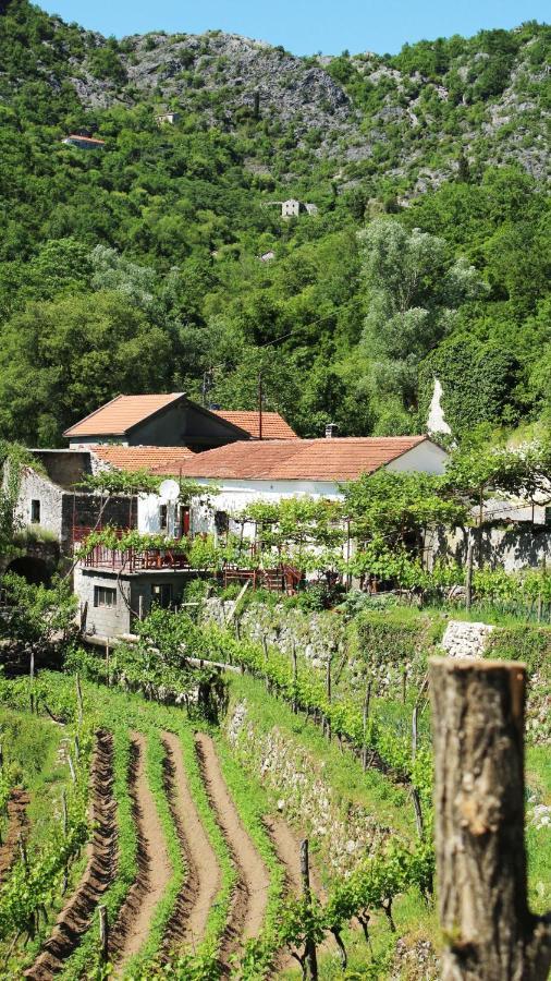 Dupilo Country House Dajkovic מראה חיצוני תמונה